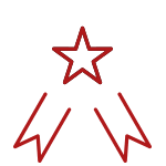 Star Rosette Icon